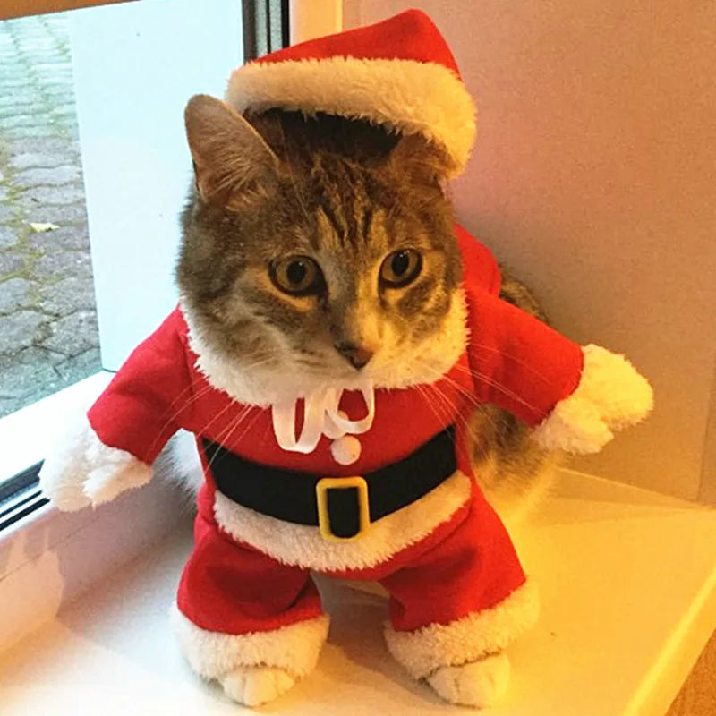 Disfraces navideños para gatos