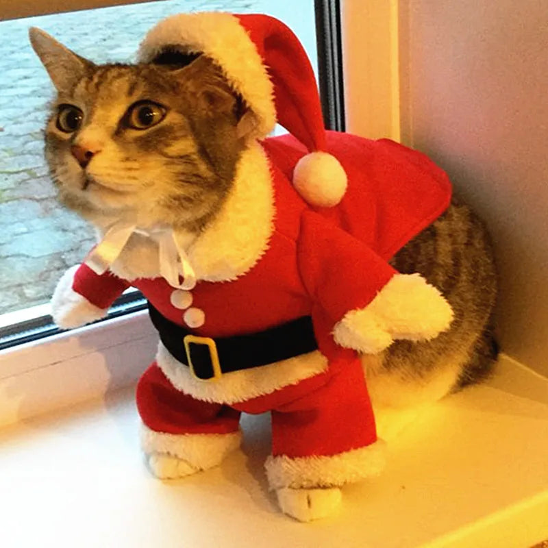 Disfraces navideños para gatos